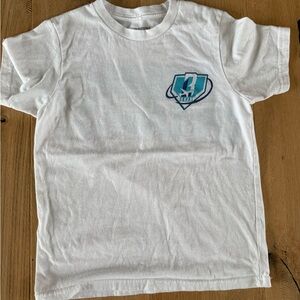 Baseball Lifestyle 101 Youth Dream Chaser Tshirt